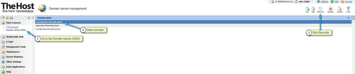 DNS Setup