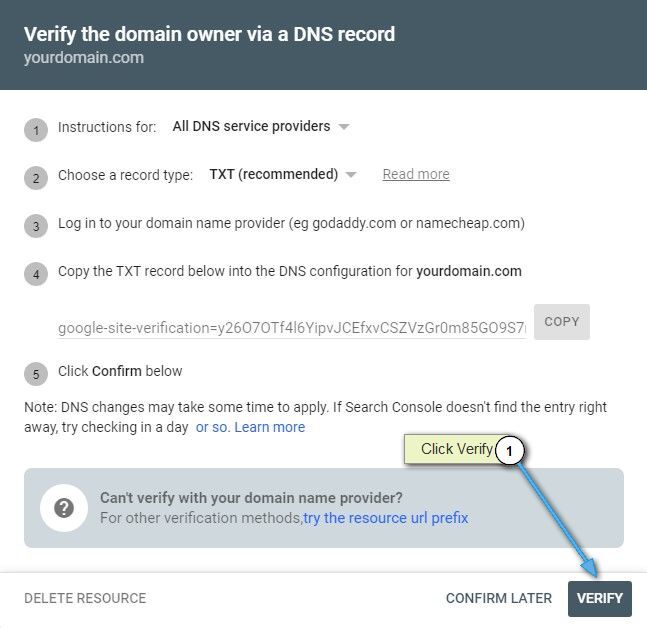 DNS Check