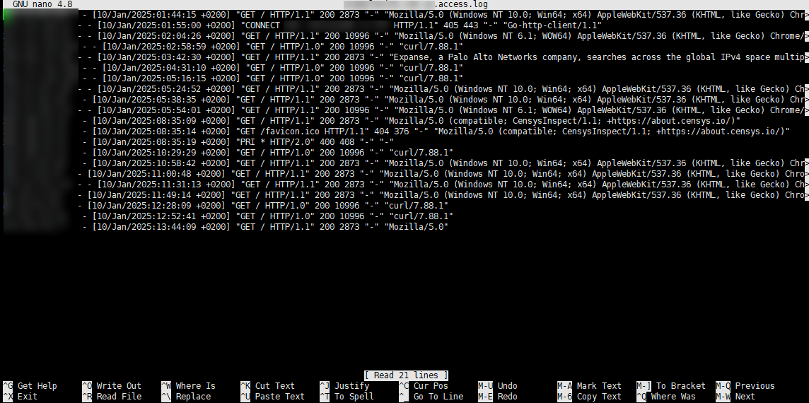 NANO Terminal