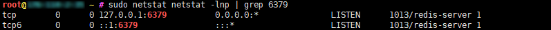 Netstat