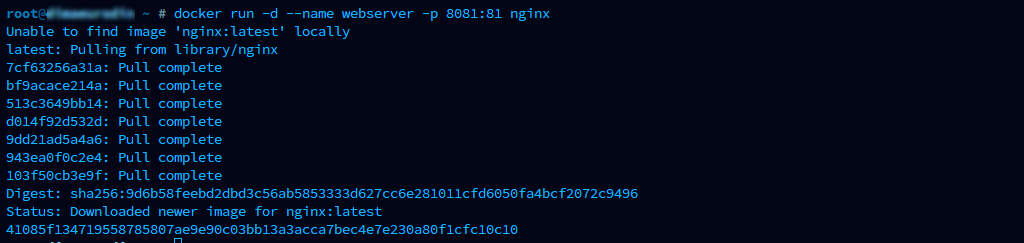 docker run