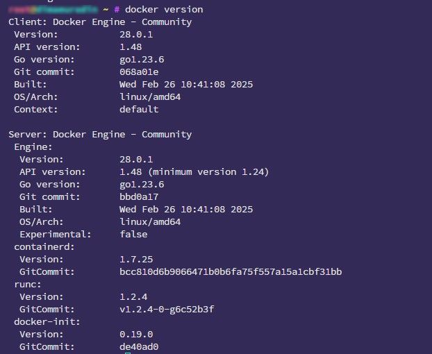 docker version