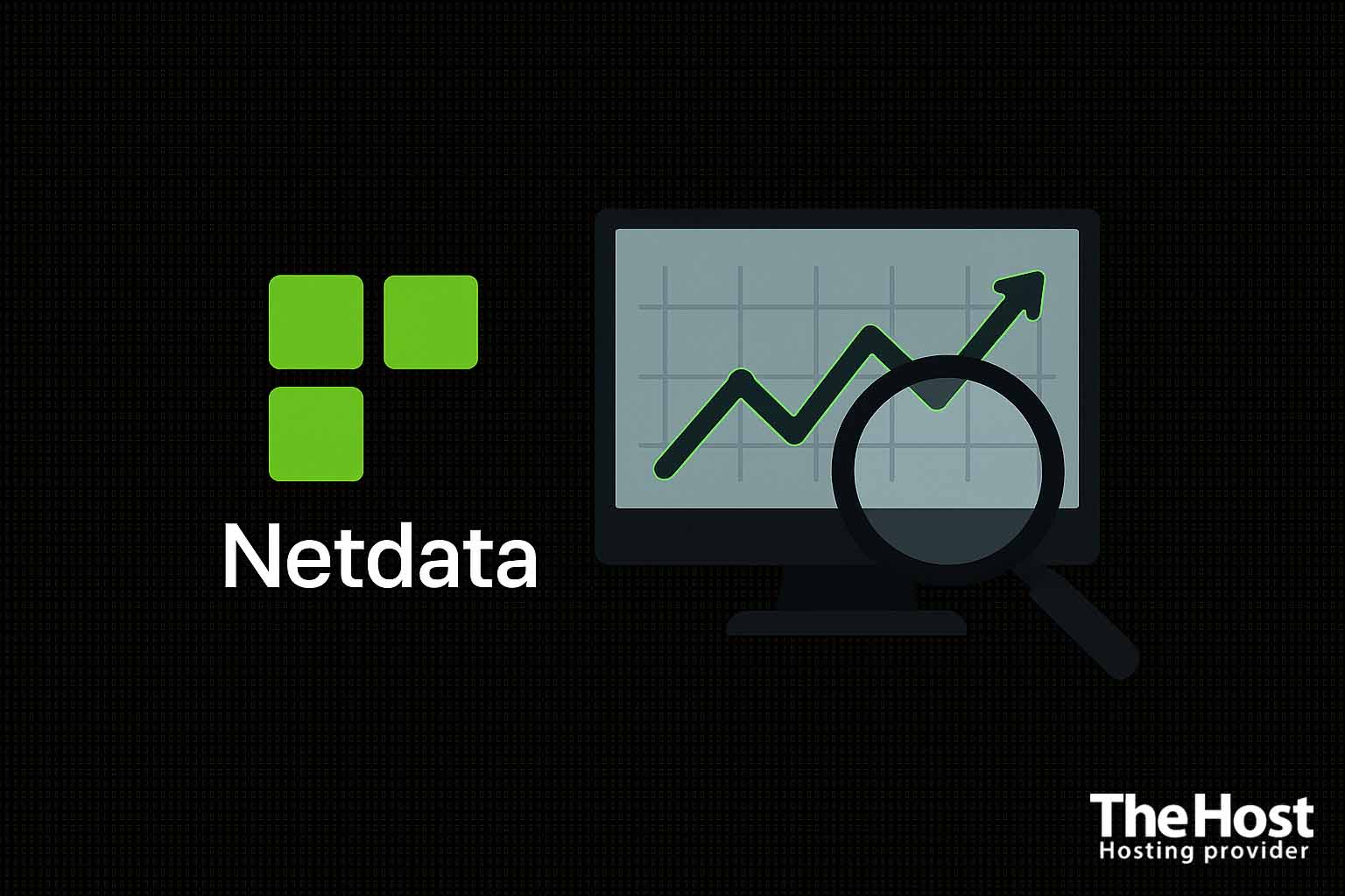 The Host netData