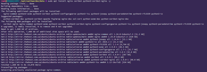 nginx_installation