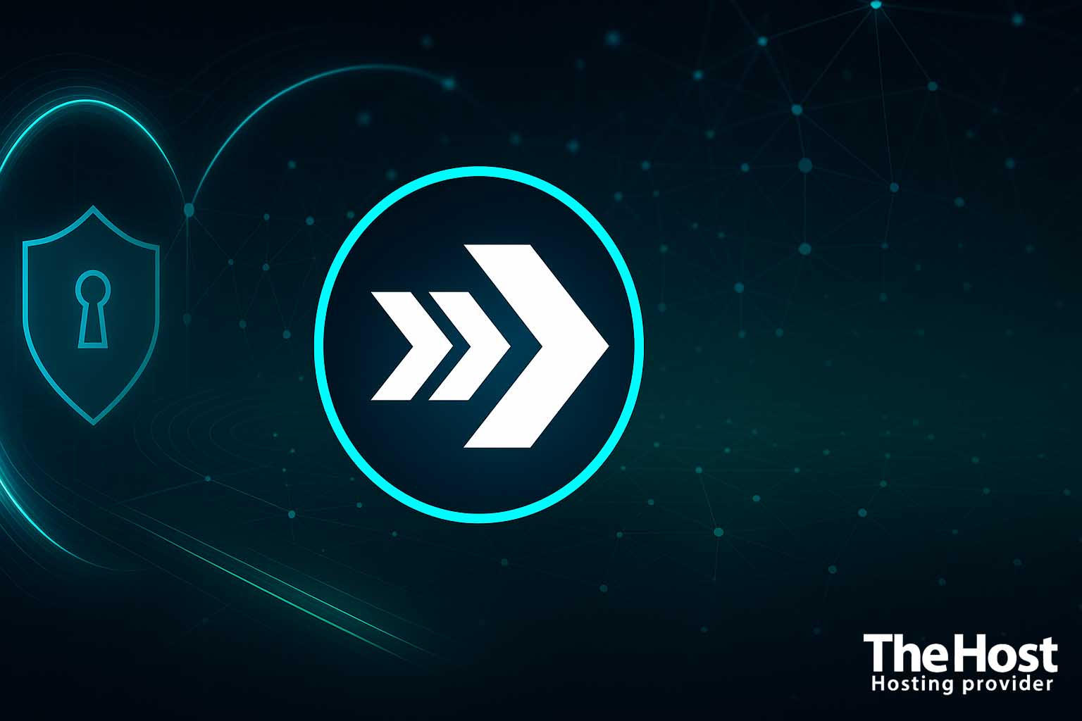 The Host Banner Shadowsocks