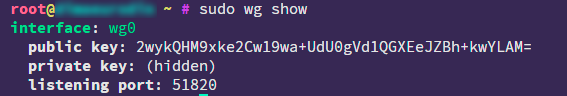 wg show