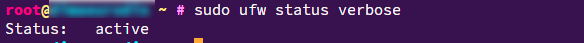 ufw_status_verbose