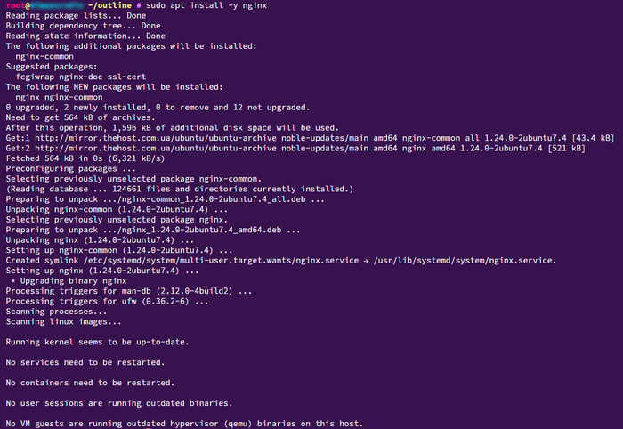 install_nginx