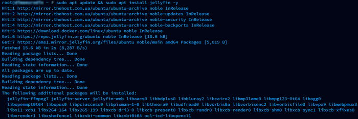 install_jellyfin
